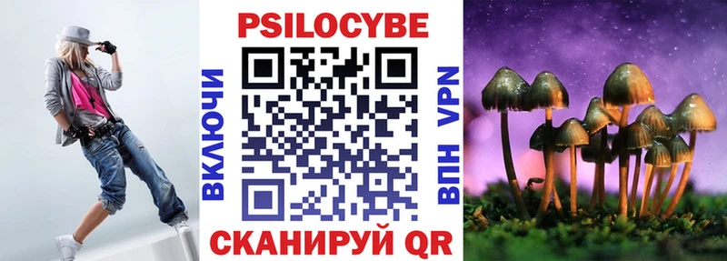магазин    Новоалтайск  KRAKEN зеркало  сайты даркнета состав  Псилоцибиновые грибы Psilocybine cubensis 